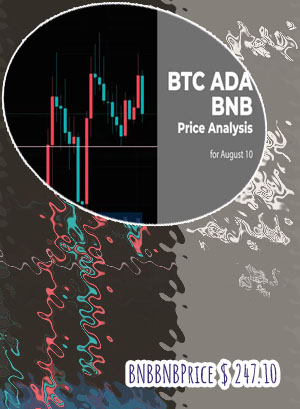 Bnb price crypto