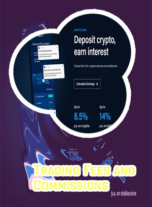 Cryptocom international transaction fee