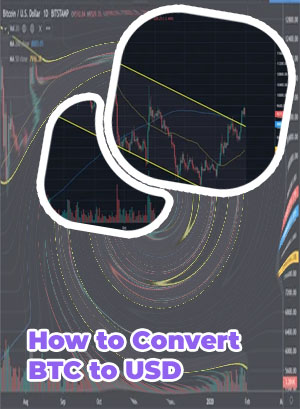 How much is btc in usd