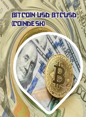 One bitcoin to usd
