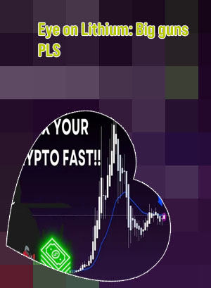 Pls crypto