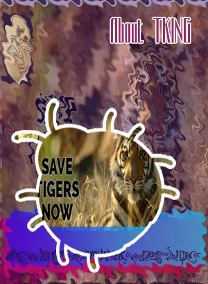 Tiger king coin crypto price